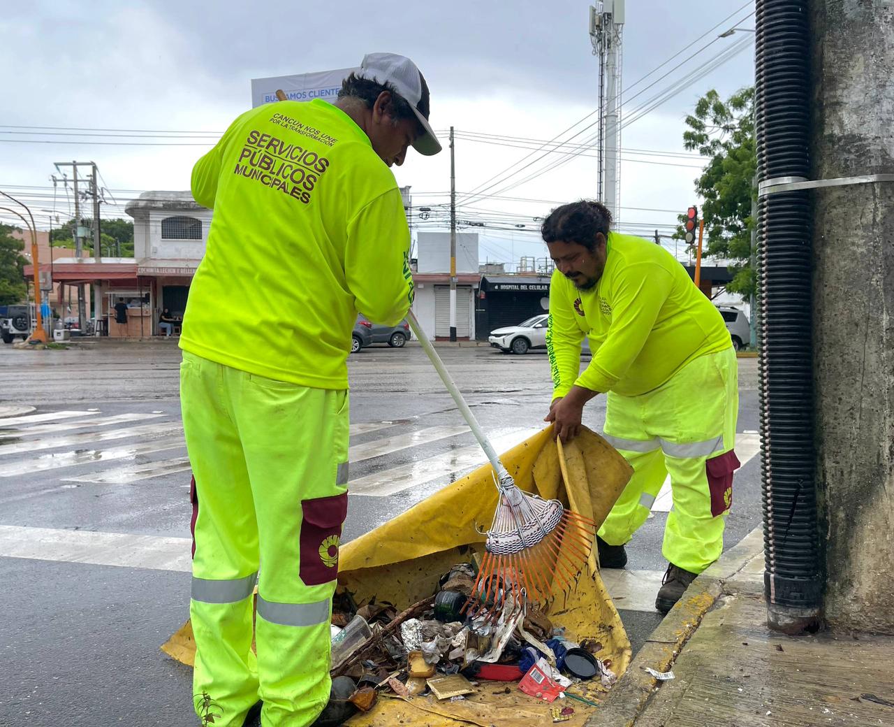 uploads/6/32/01 (2456).Jpeg